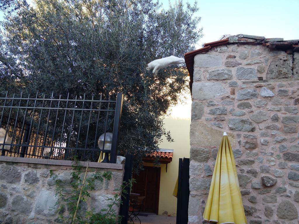 Aristonicus Boutique Hotel Bergama Bagian luar foto